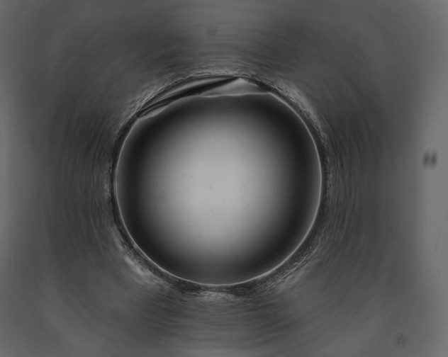 X0000091170393200708231510