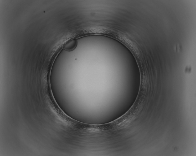 X0000091170394200708231510