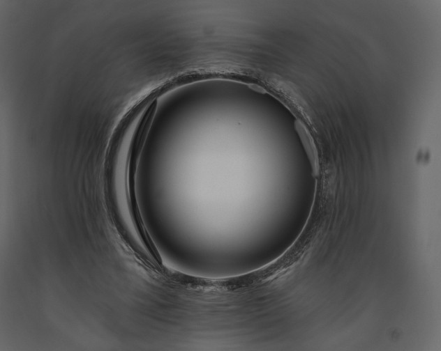 X0000091170395200708231510