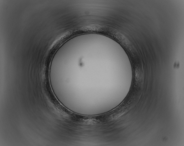 X0000091170396200708231510