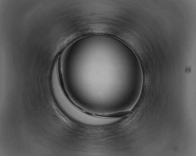 X0000091170397200708231510