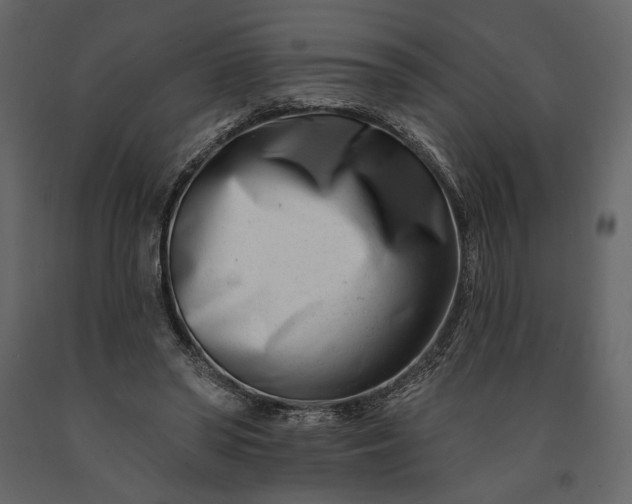 X0000091170398200708231510