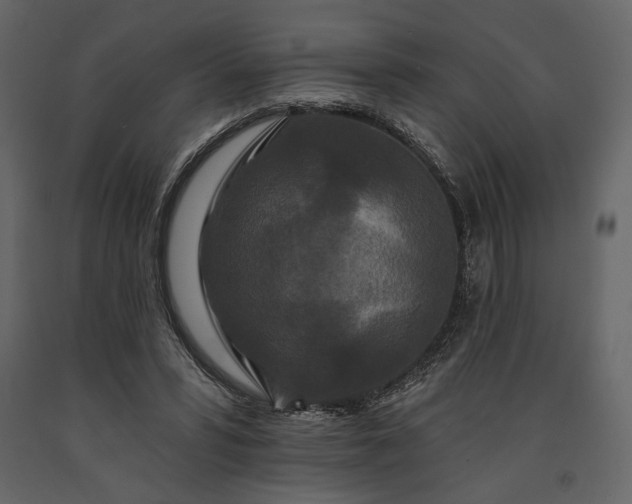 X0000091170399200708231510