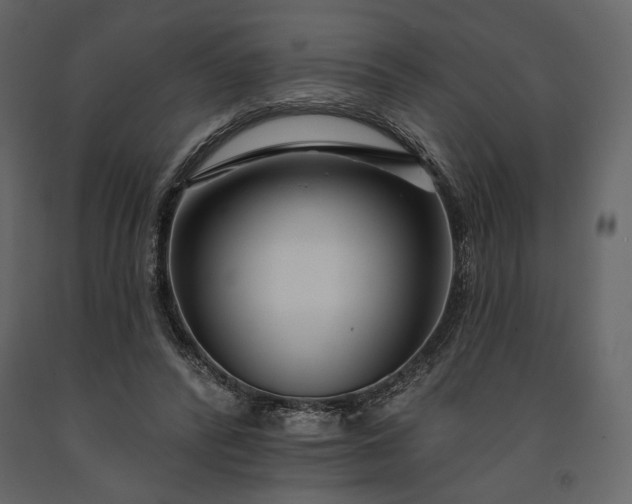 X0000091170400200708231510