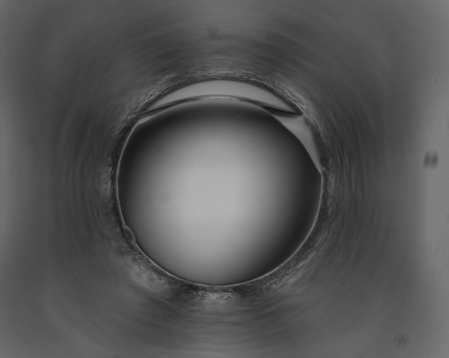 X0000091170401200708231510