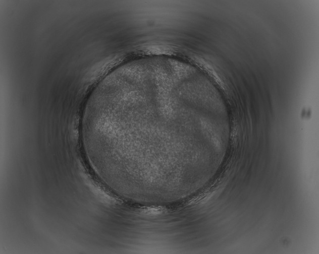 X0000091170402200708231510