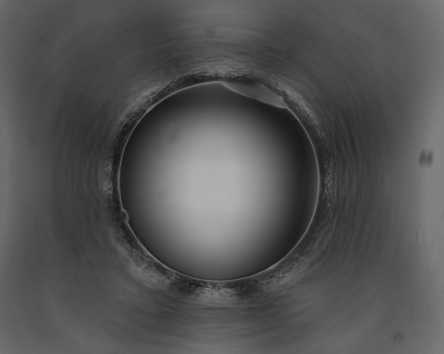 X0000091170403200708231510