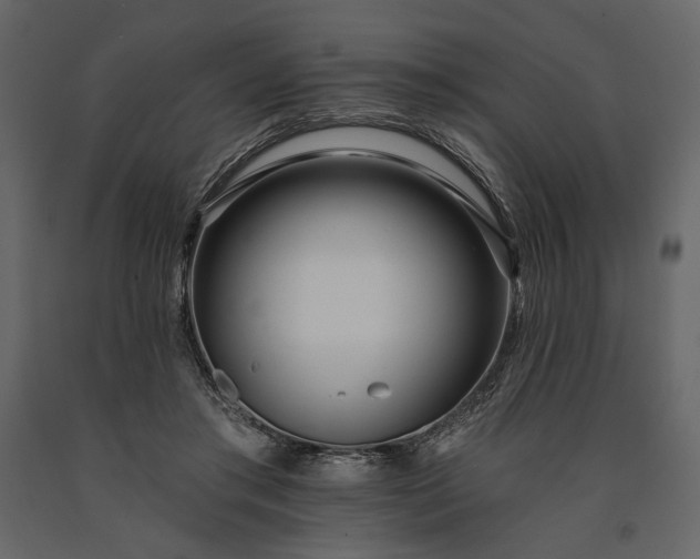 X0000091170405200708231510