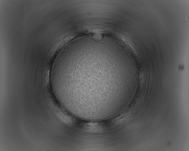 X0000091170406200708231510