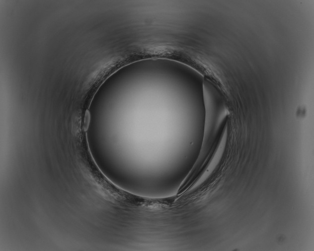 X0000091170407200708231510