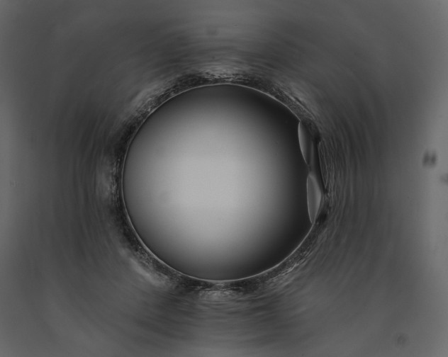 X0000091170408200708231510