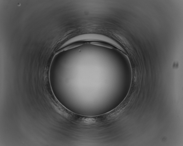 X0000091170409200708231510