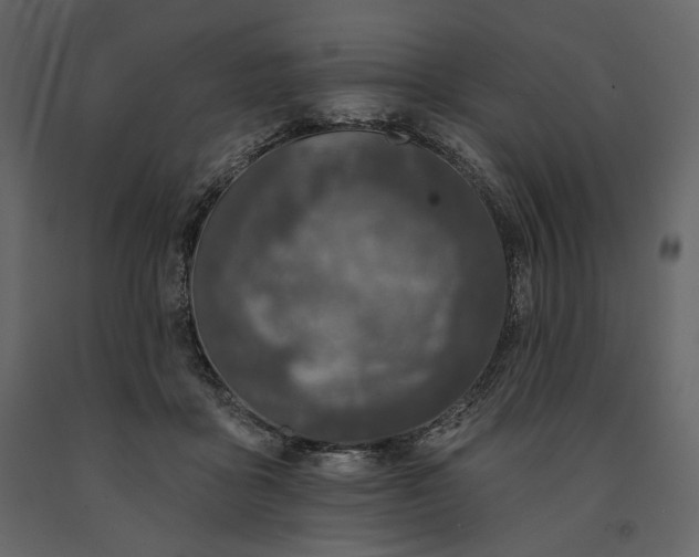 X0000091170411200708231510