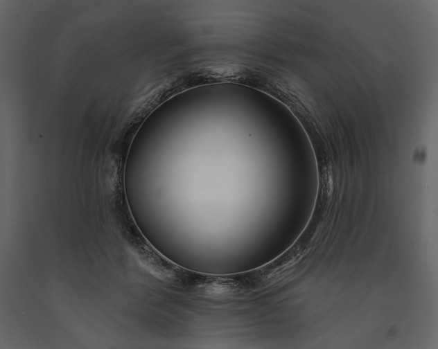 X0000091170412200708231510