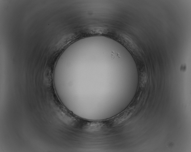 X0000091170414200708231510