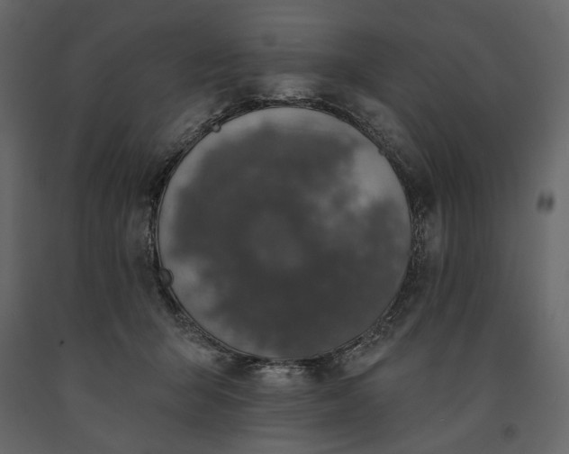 X0000091170415200708231510