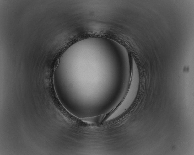 X0000091170416200708231510