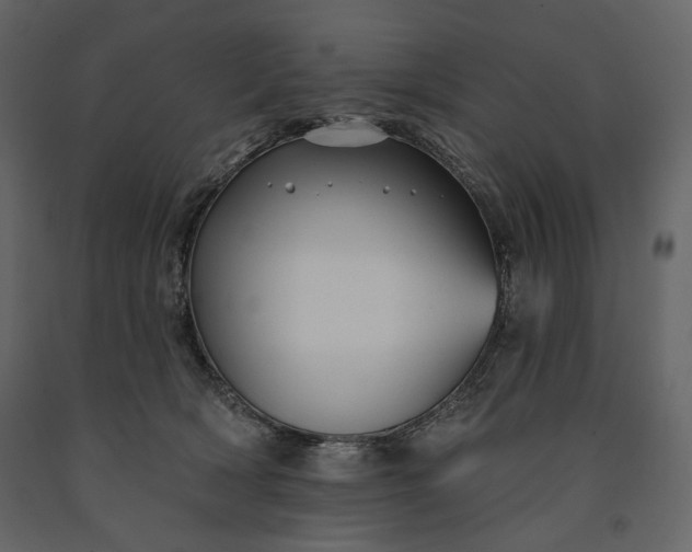 X0000091170418200708231510