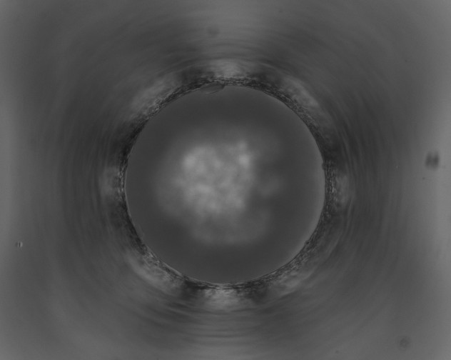 X0000091170419200708231510