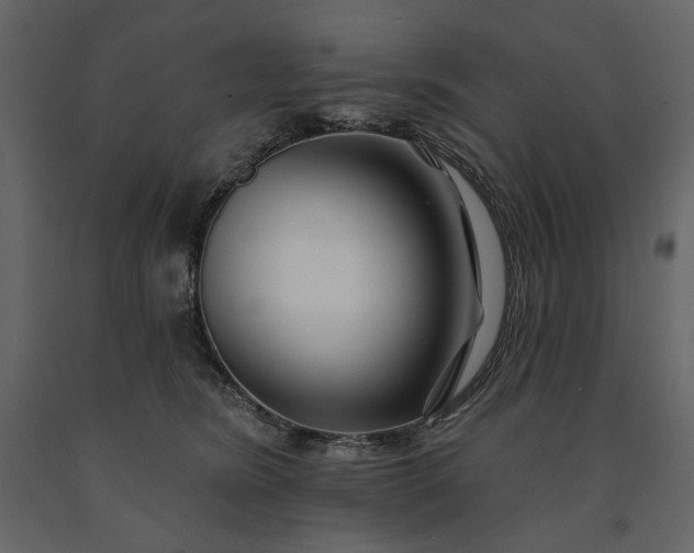 X0000091170420200708231510