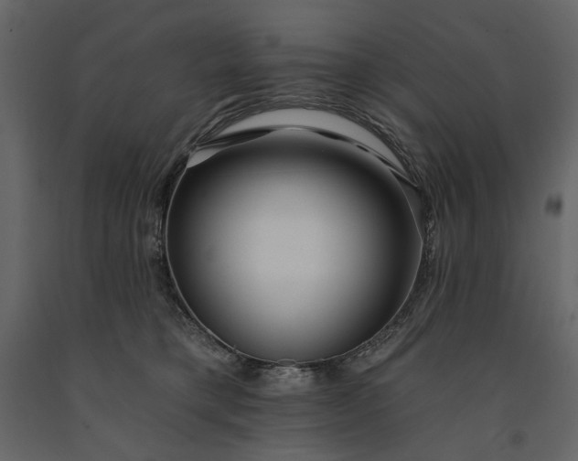 X0000091170421200708231510