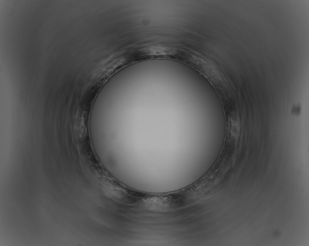 X0000091170422200708231510