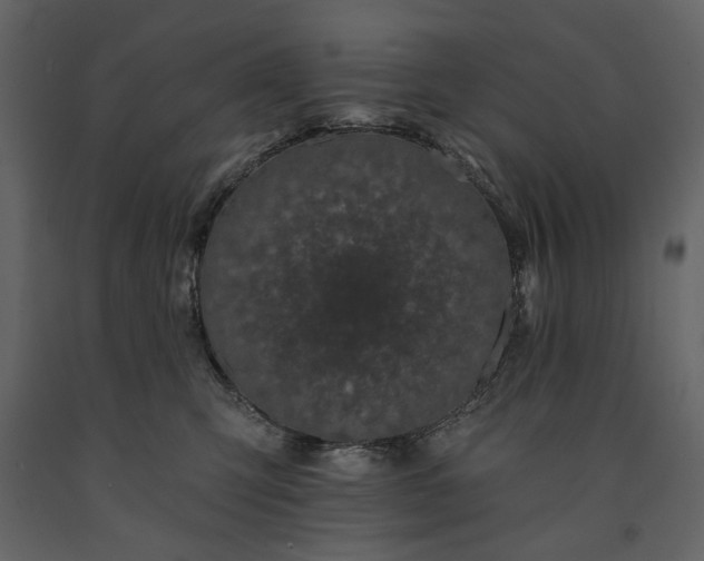 X0000091170423200708231510