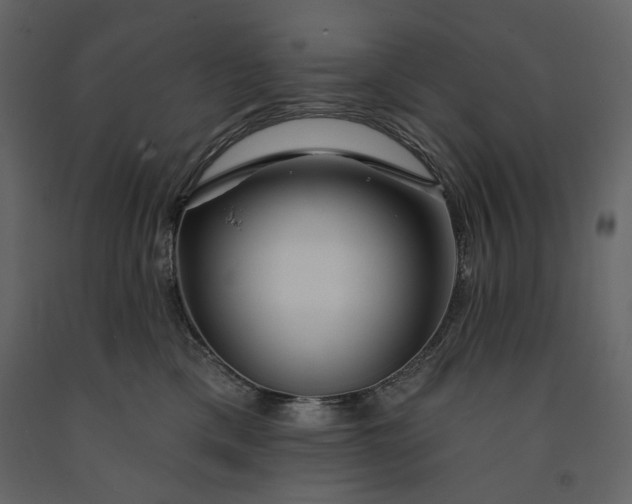 X0000091170425200708231509