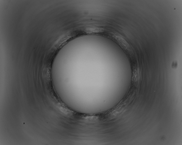 X0000091170426200708231509