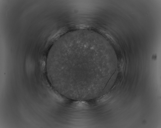 X0000091170427200708231509