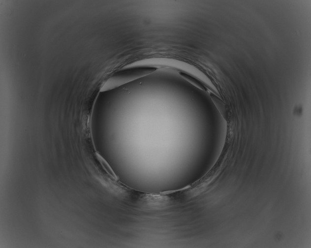 X0000091170429200708231509