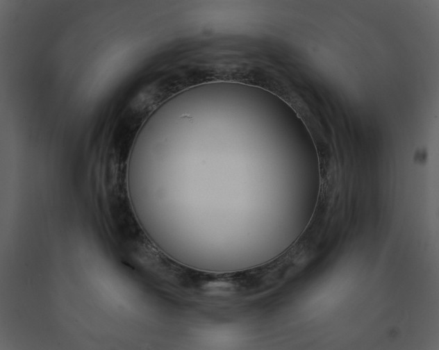 X0000091170430200708231509