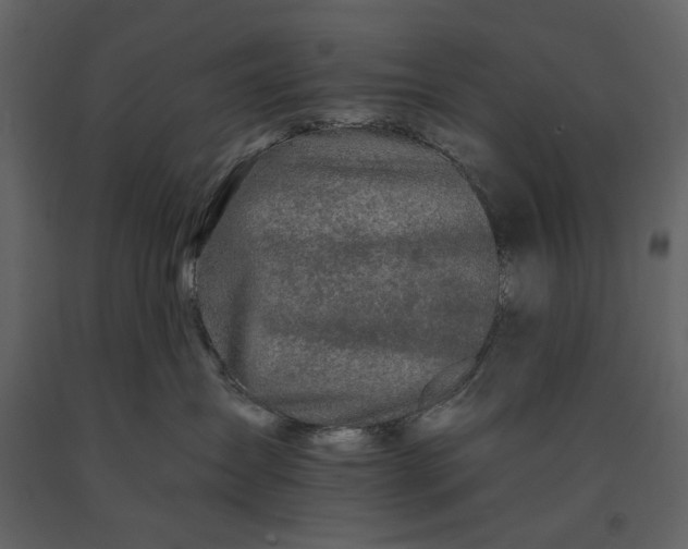 X0000091170431200708231509