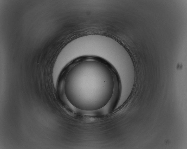 X0000091170432200708231509