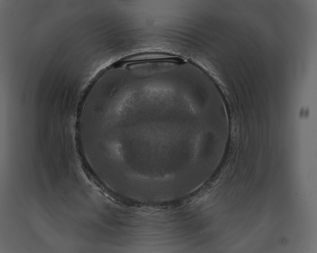 X0000091170434200708231509