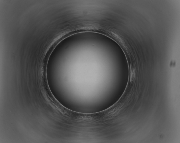 X0000091170435200708231509