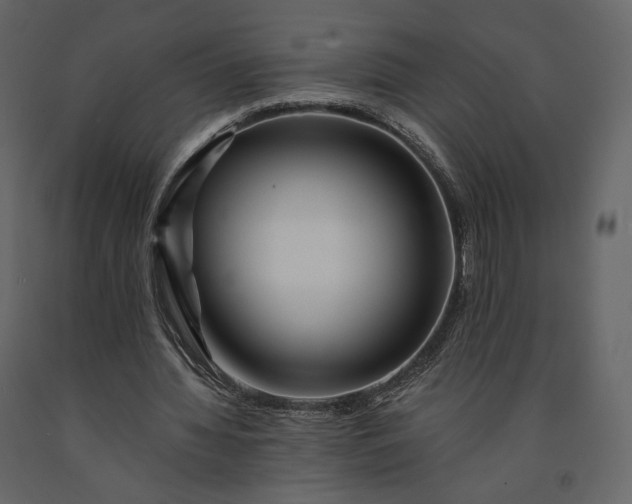 X0000091170436200708231509