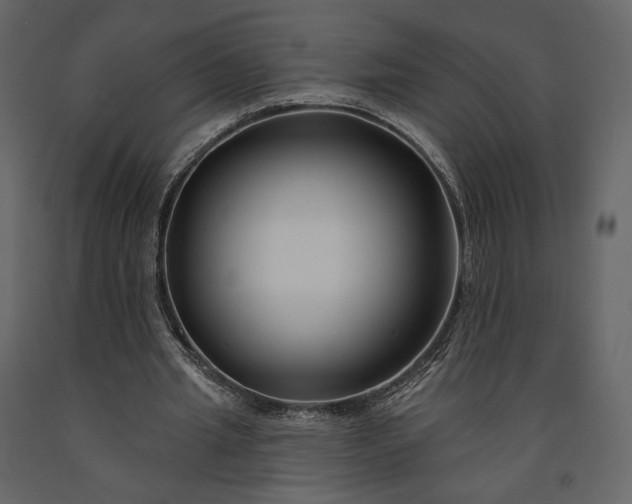 X0000091170437200708231509