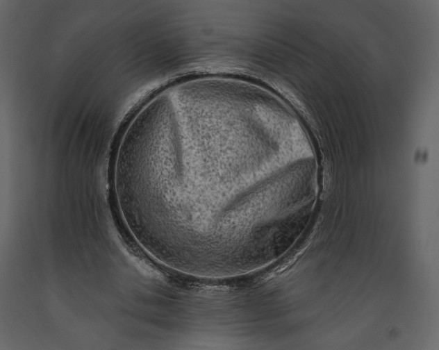 X0000091170438200708231509