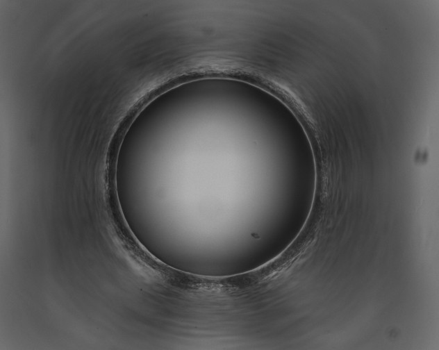 X0000091170439200708231509