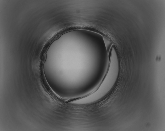 X0000091170440200708231509