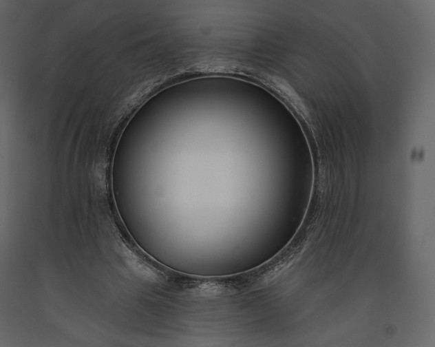 X0000091170441200708231509