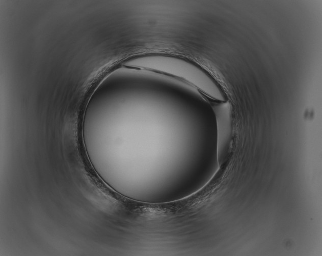 X0000091170442200708231509