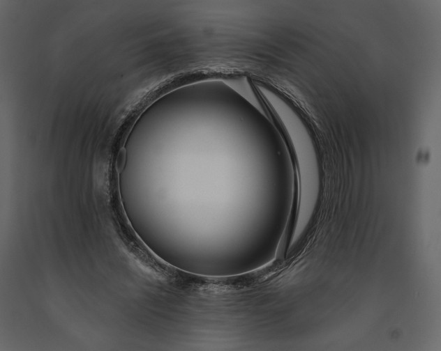 X0000091170444200708231509