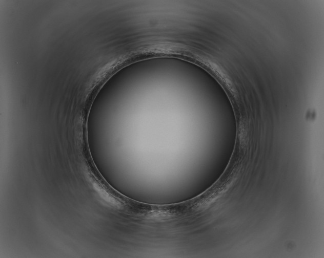 X0000091170445200708231509