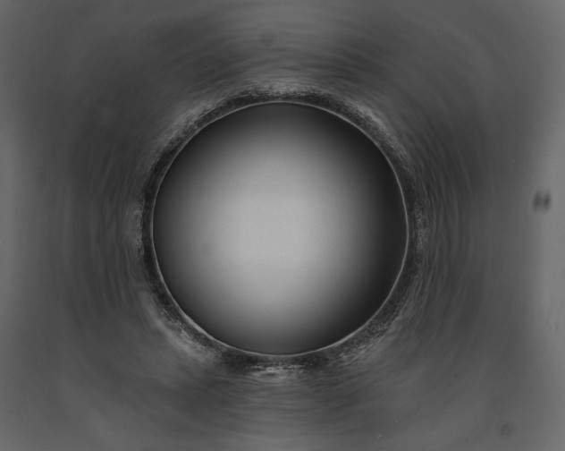 X0000091170447200708231509