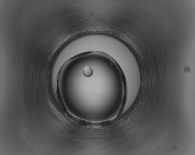 X0000091170448200708231509