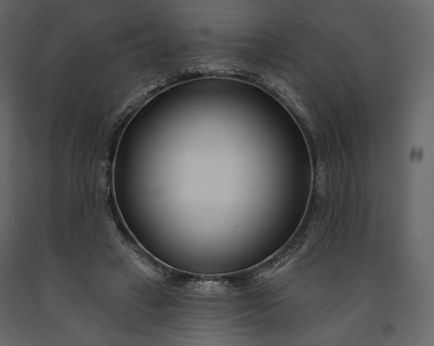 X0000091170449200708231509