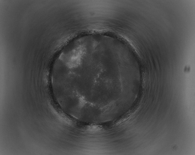 X0000091170451200708231509