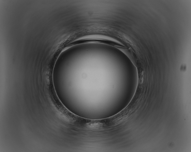 X0000091170452200708231509